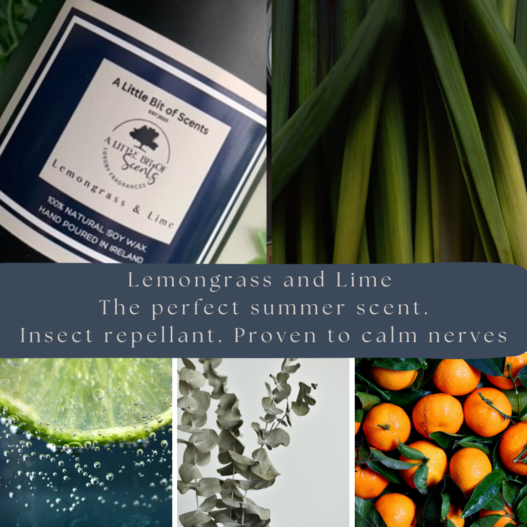 Lemongrass and Lime 320g Scented Candle