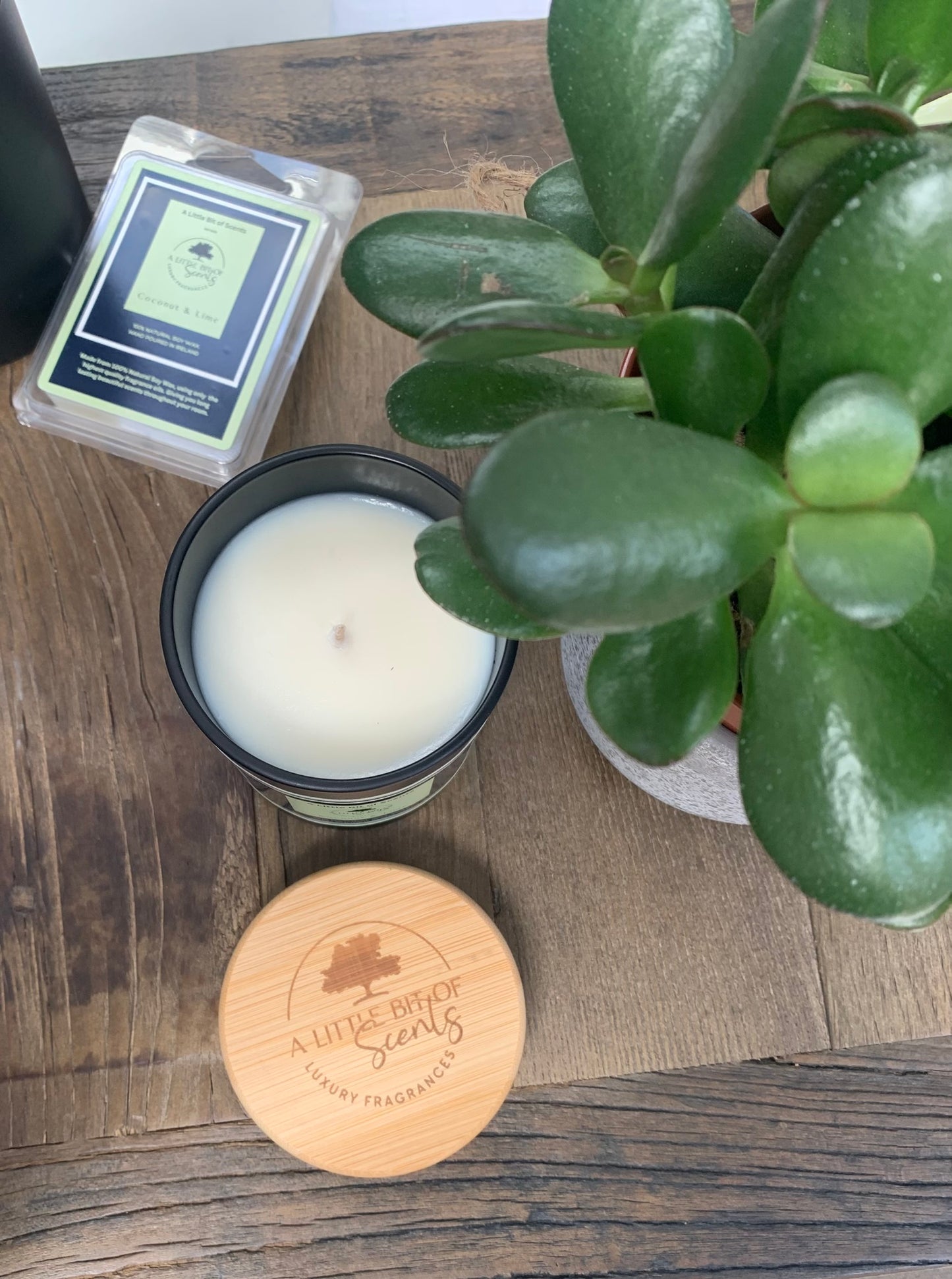 Coconut and Lime wax melt