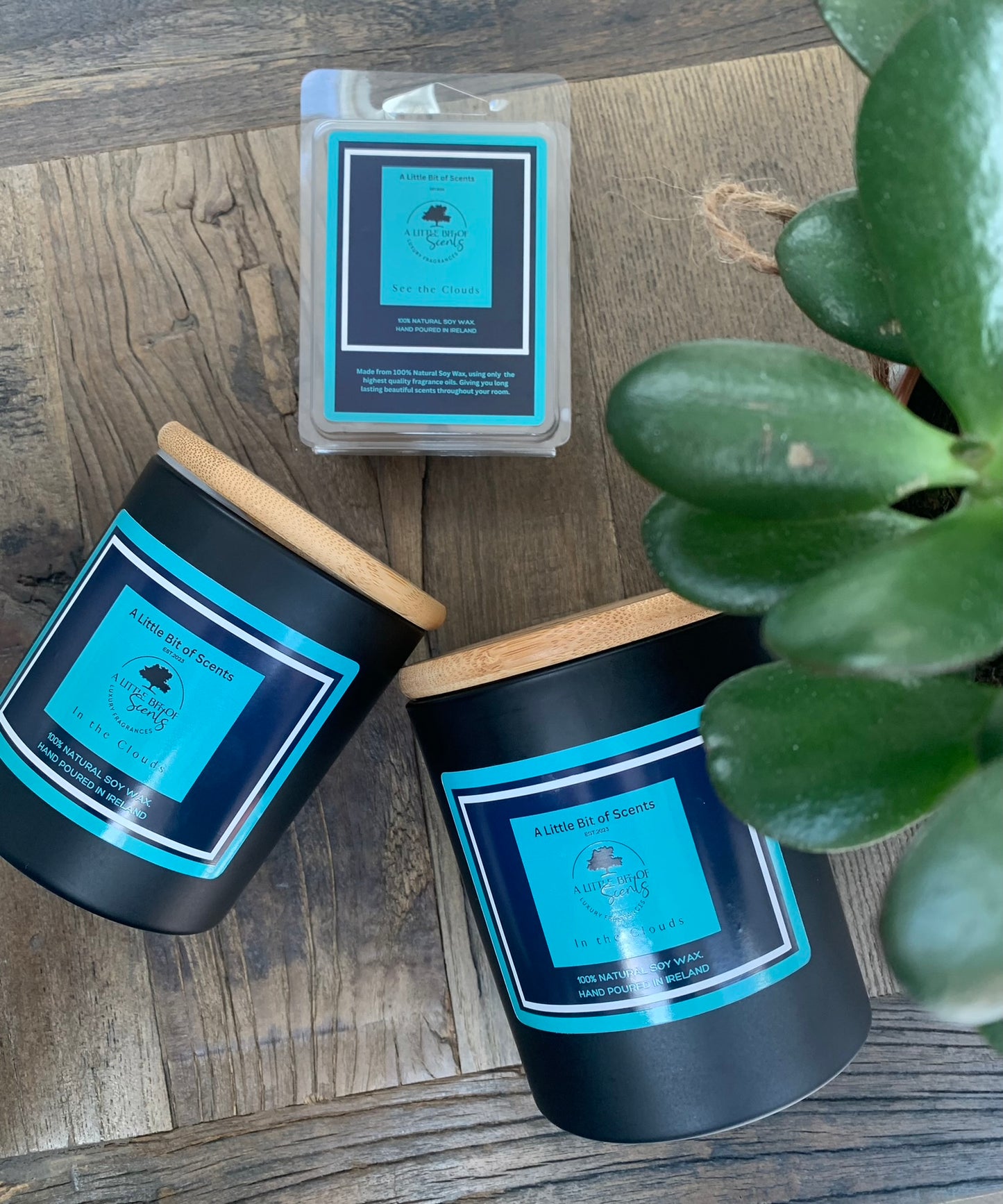 In The Clouds Soy Wax Melt