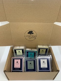 6 WAX MELTS