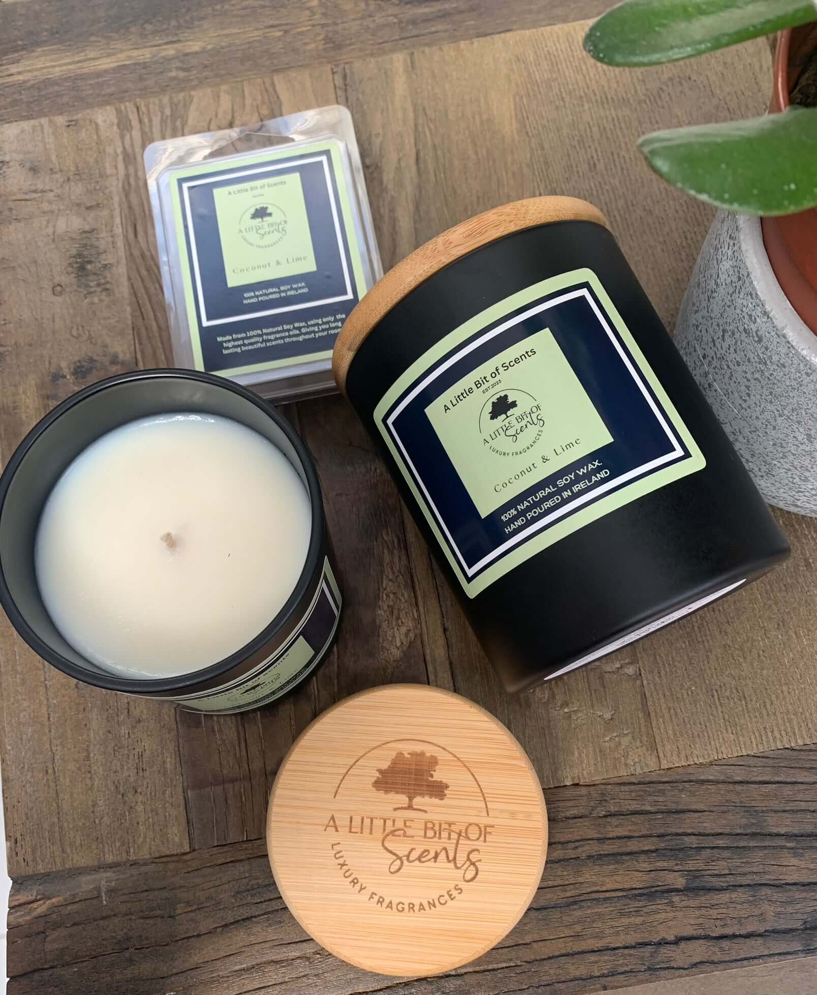  View details for So many candles, so many waxes. So many candles, so many waxes.