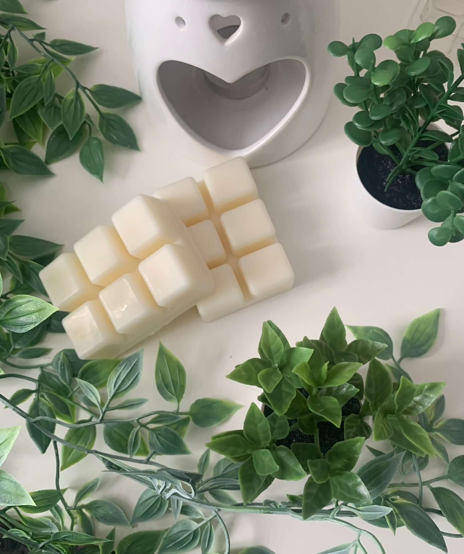 Scented Wax Melts