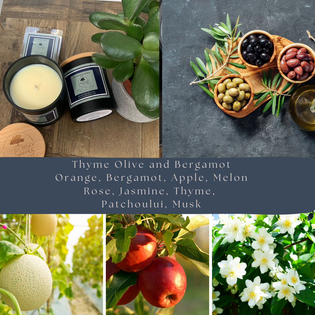 Thyme Olive & Bergamot Wax Melt