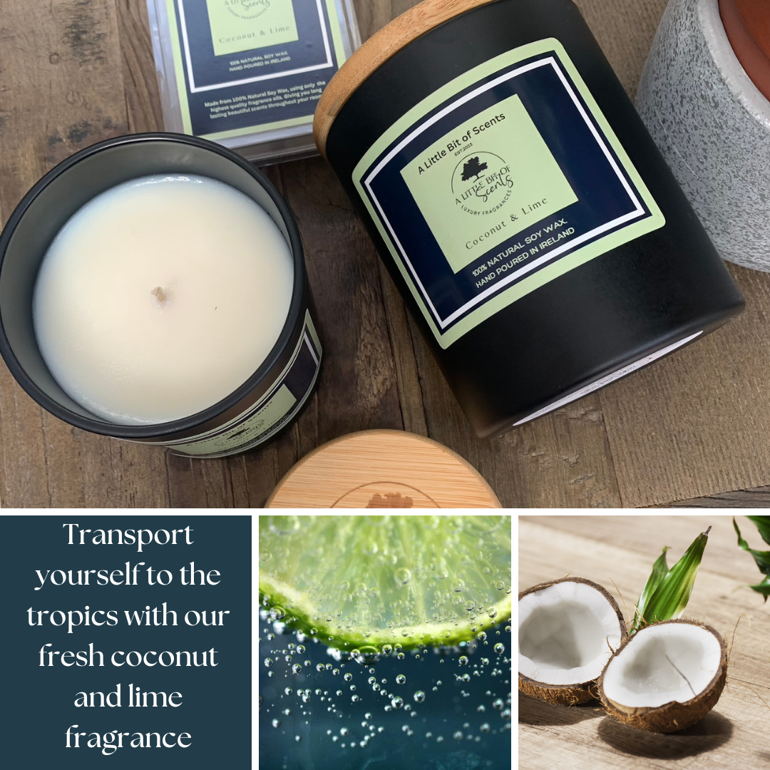  Coconut and Lime wax melt