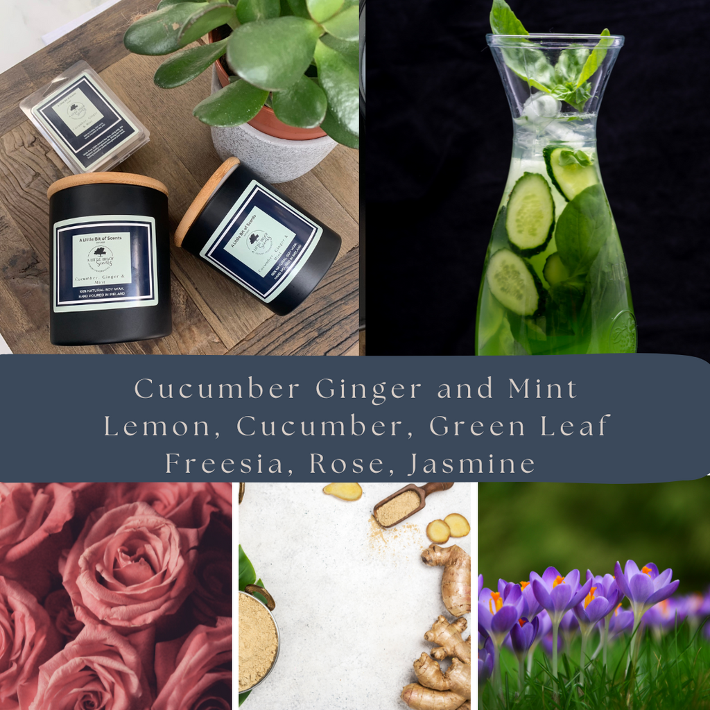 Cucumber Ginger and Mint Soy Wax Melt