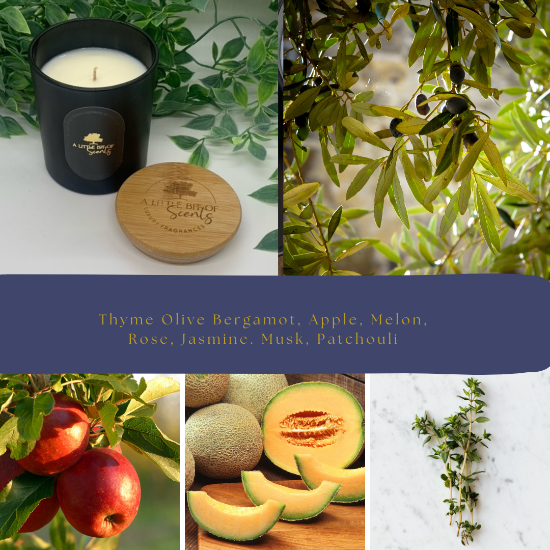 Thyme Olive & Bergamot Candle 320g