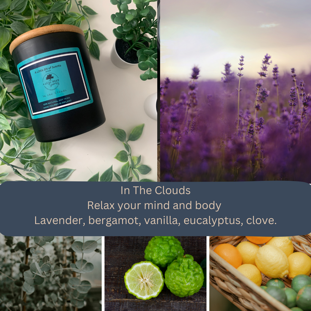 In The Clouds Soy Wax Melt