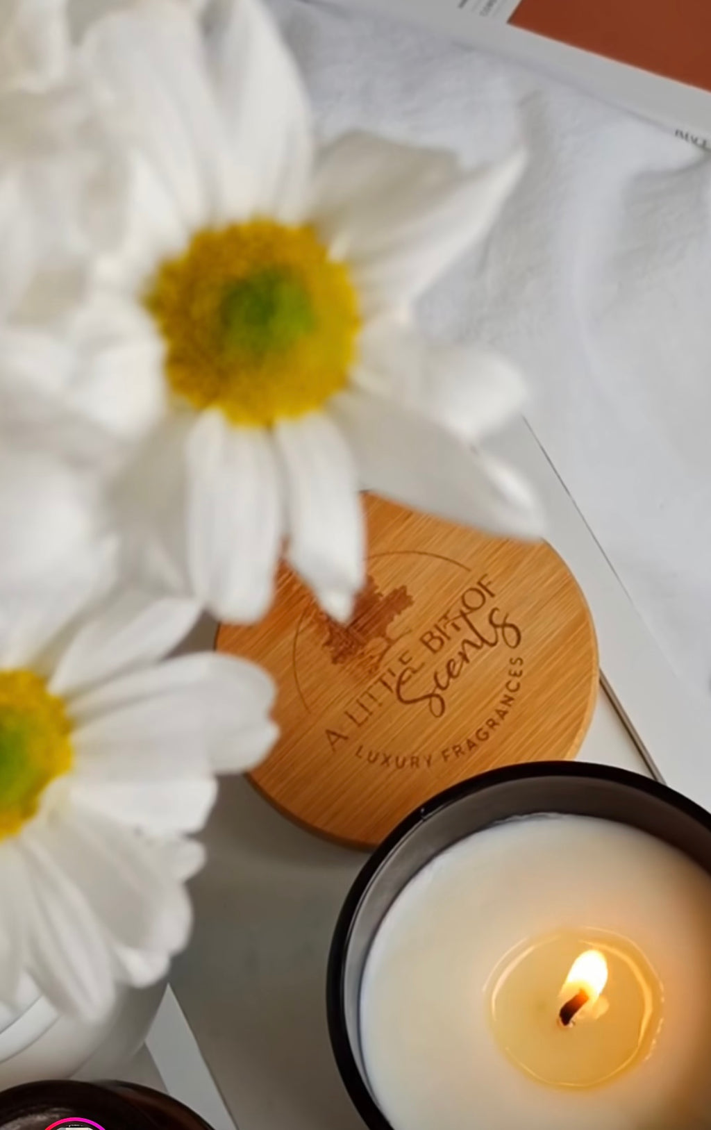 Mediterranean Thyme Olive & Bergamot Scented Candle