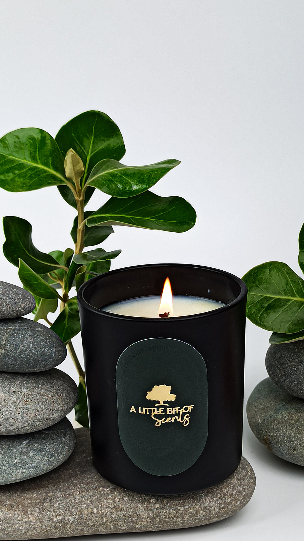 Velvet Poppy Noir Scented Candle