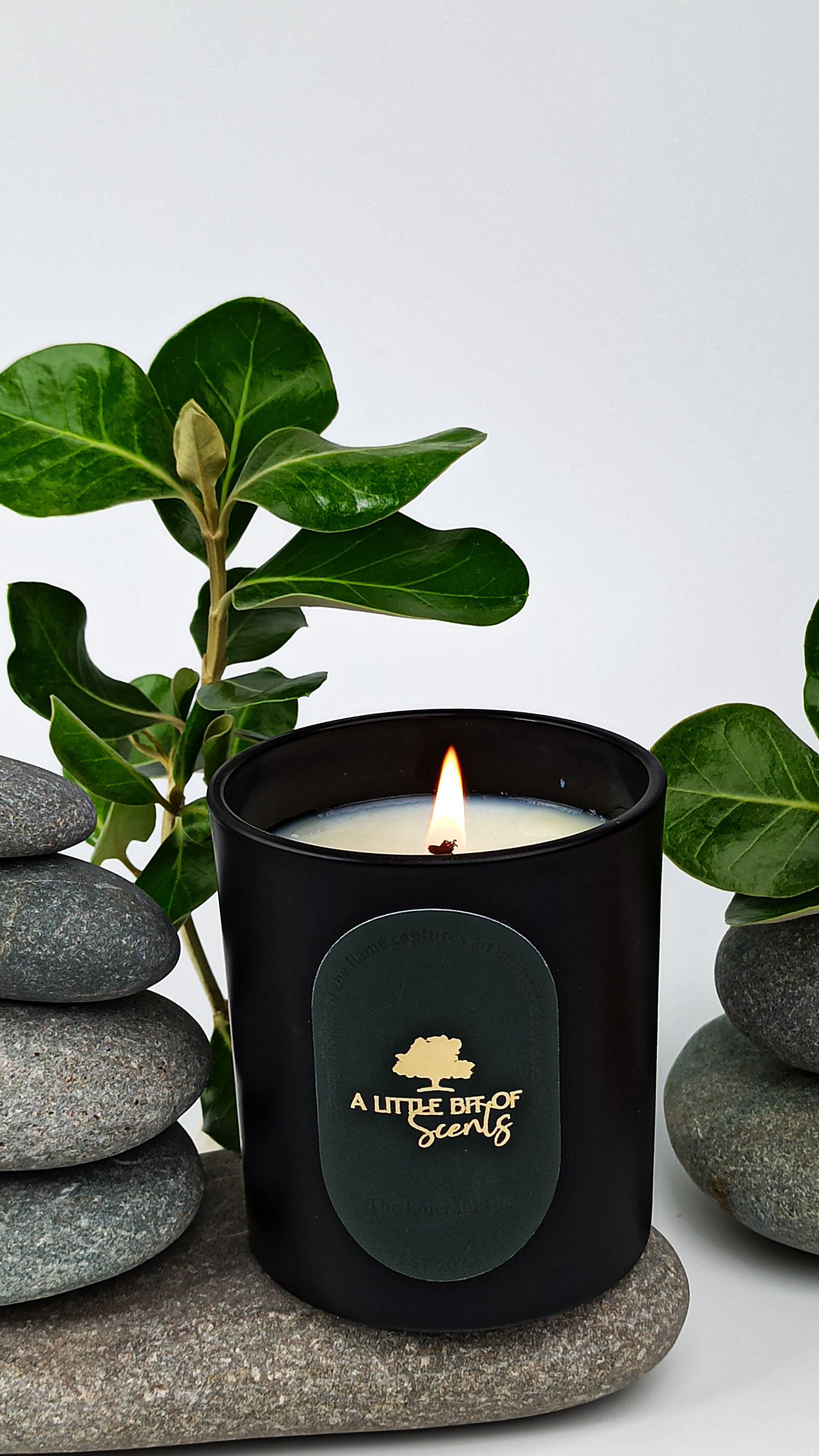Velvet Poppy Noir Scented Candle