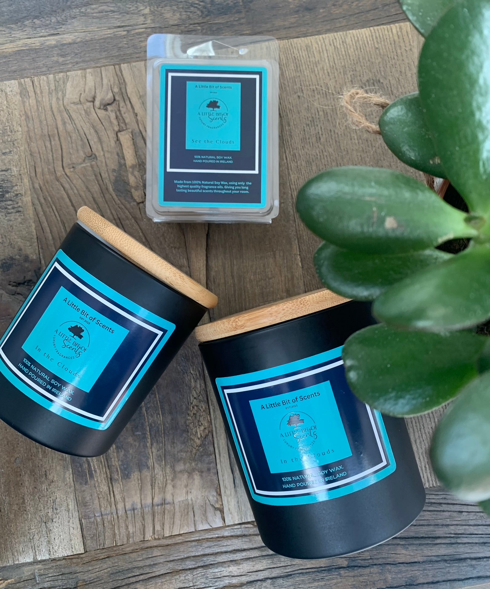 In The Clouds Soy Wax Melt