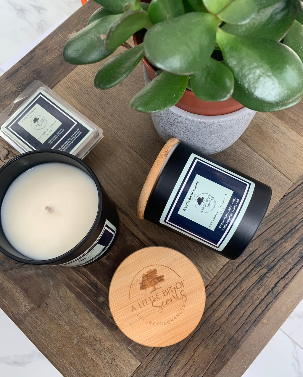 Cucumber Ginger and Mint Soy Wax Melt