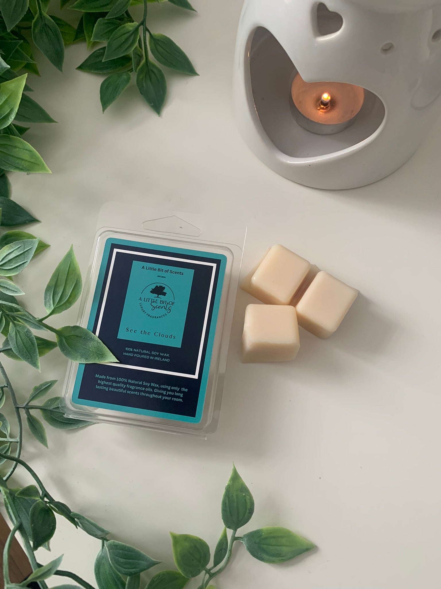 In The Clouds Soy Wax Melt