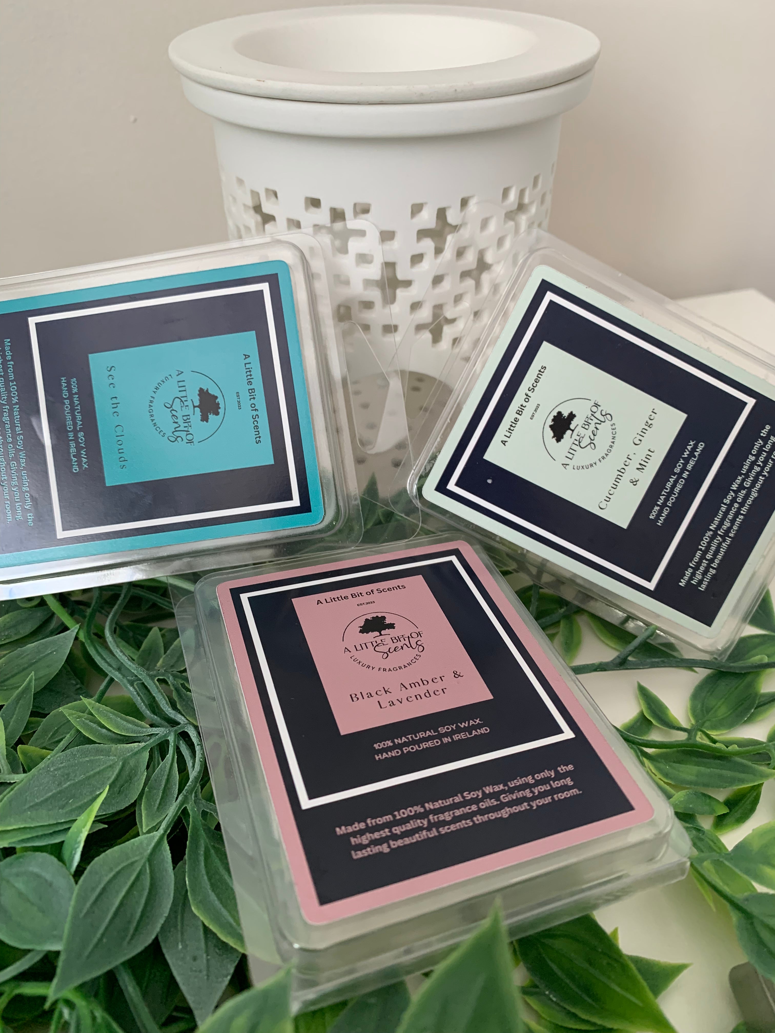  Wax Burner and three wax melts