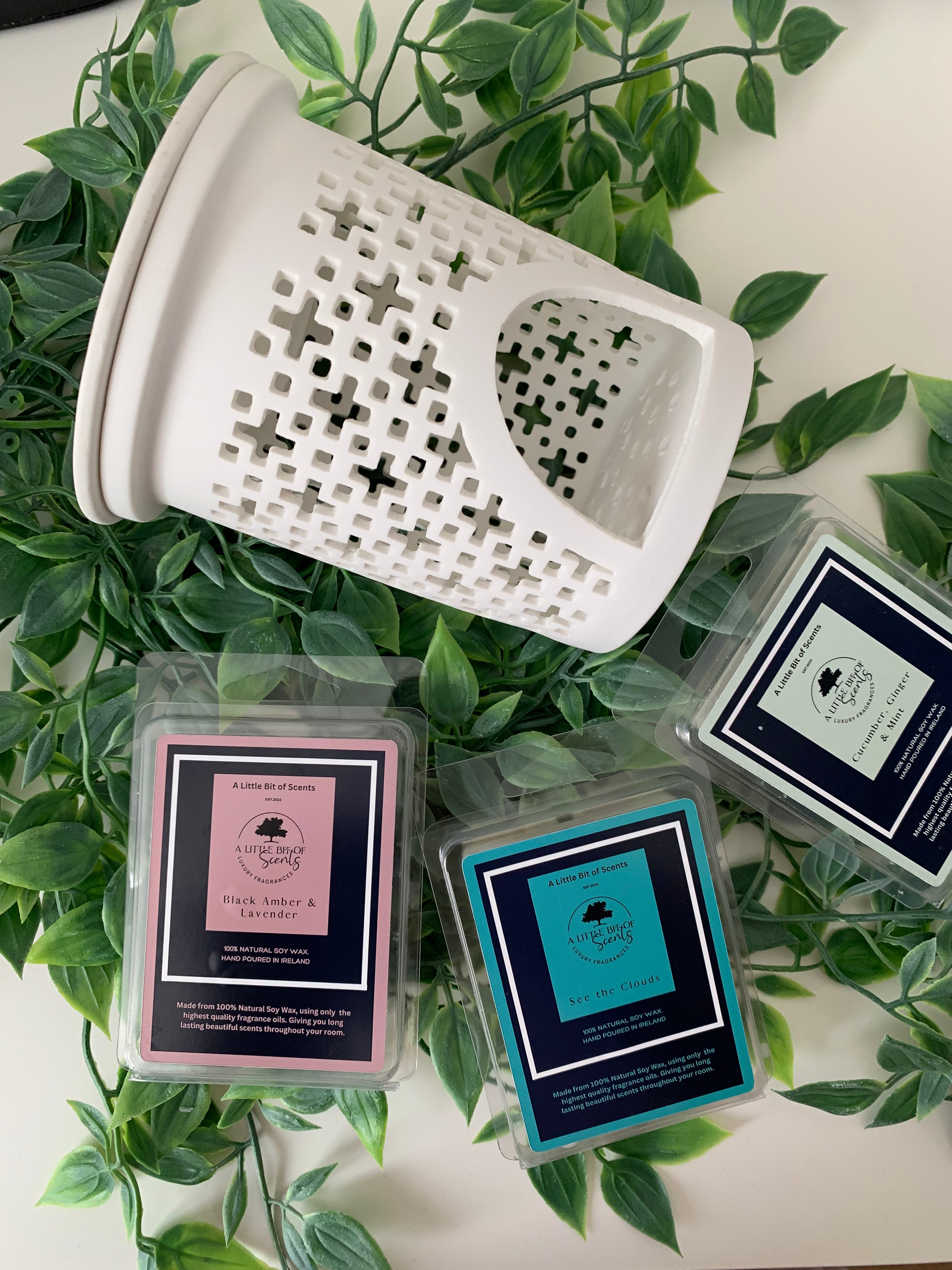 Wax Burner and three wax melts